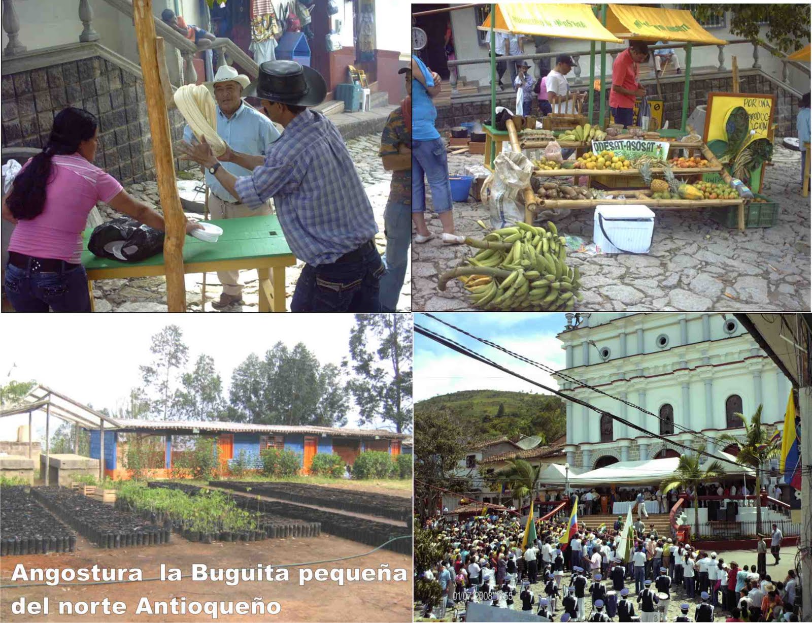 carloso782 ANGOSTURA ANTIOQUIA